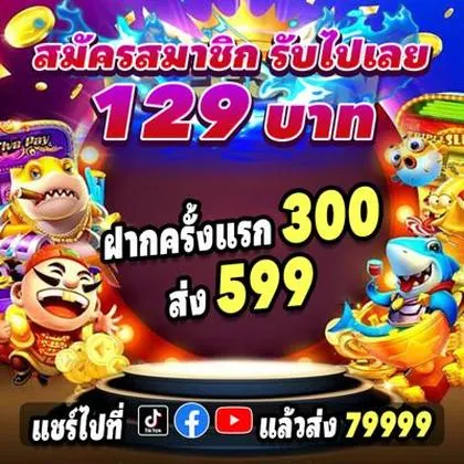 BR567 BR567